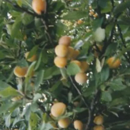 Сasa de vacaciones Charmante Maison Historique Avec Jardin à - Charme, Cheminée, Et Sérénité - Fr-1-585-67